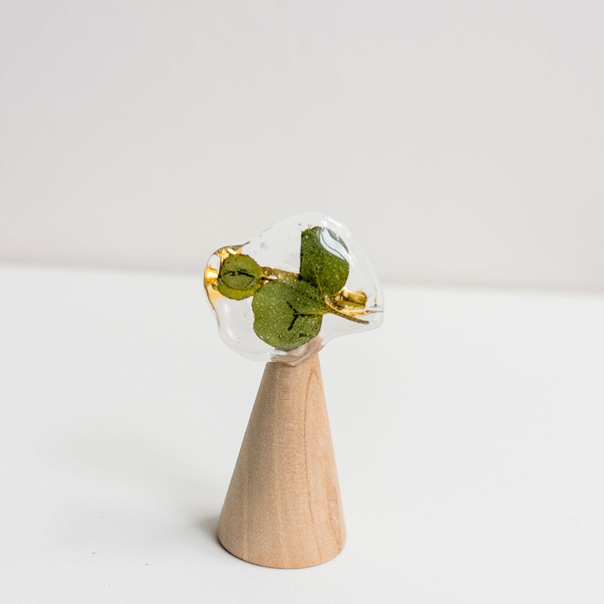 Eucalipto | Pin