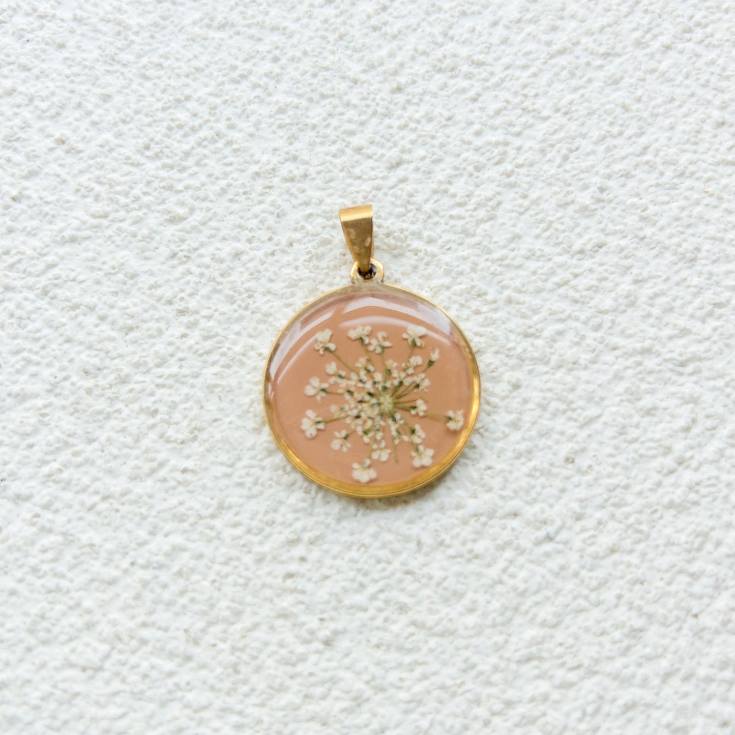 Flor de Zanahoria Salvaje