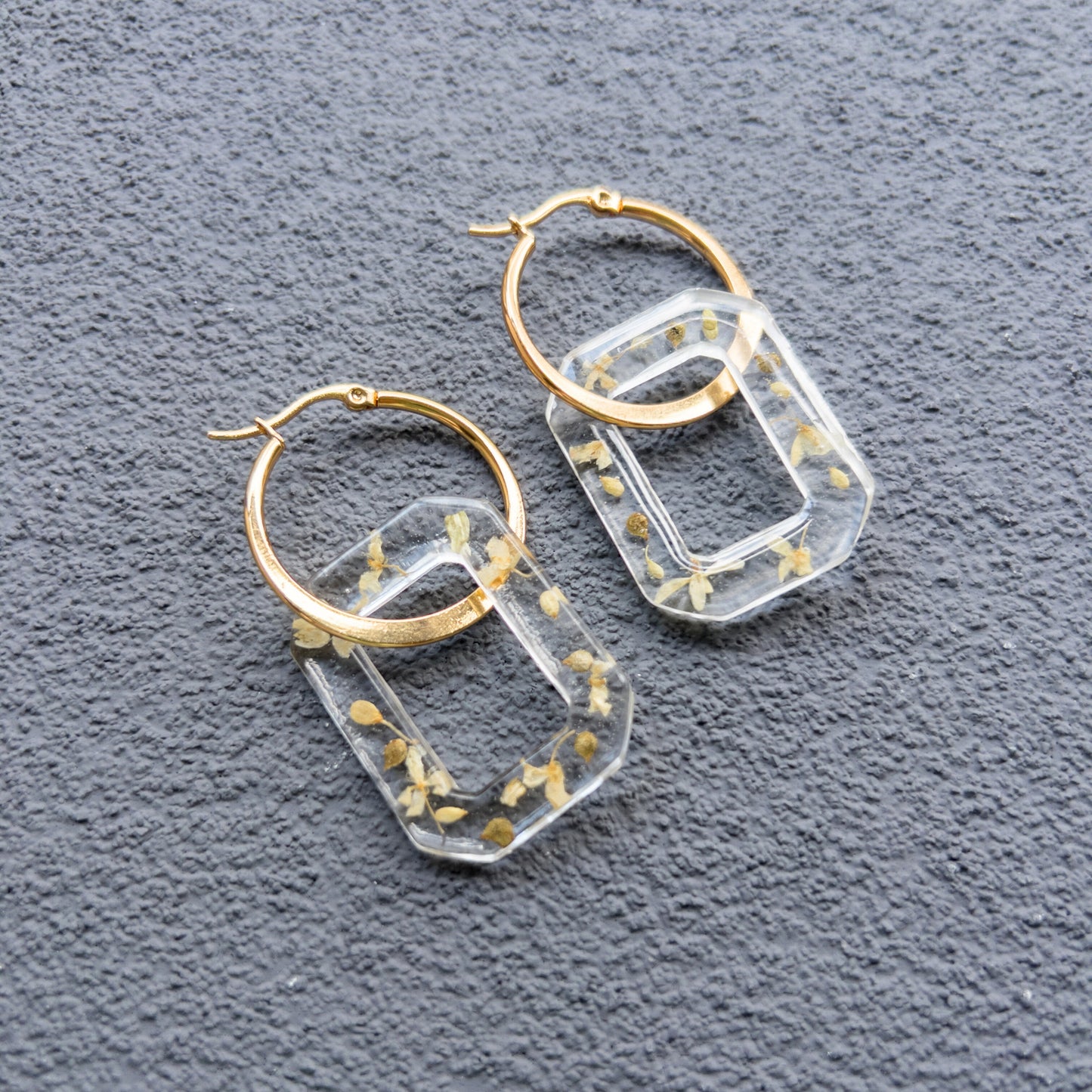 Pétalos de Chorrito de Luz | 05